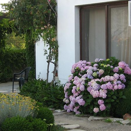South Beach Villa Sinemoreț Exterior foto