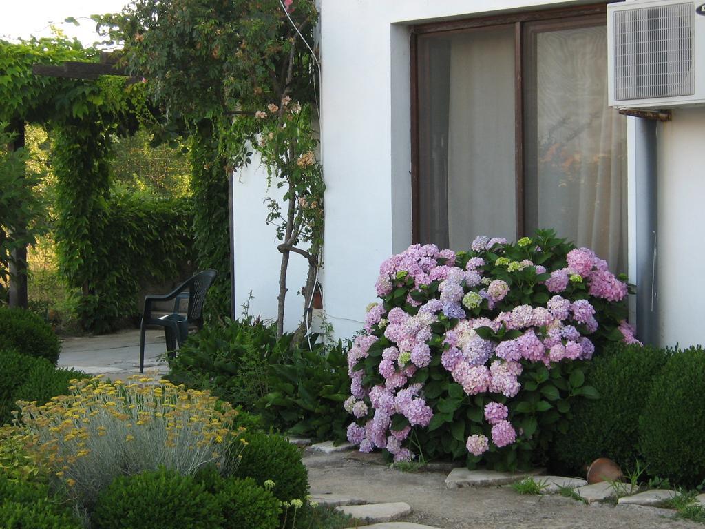 South Beach Villa Sinemoreț Exterior foto