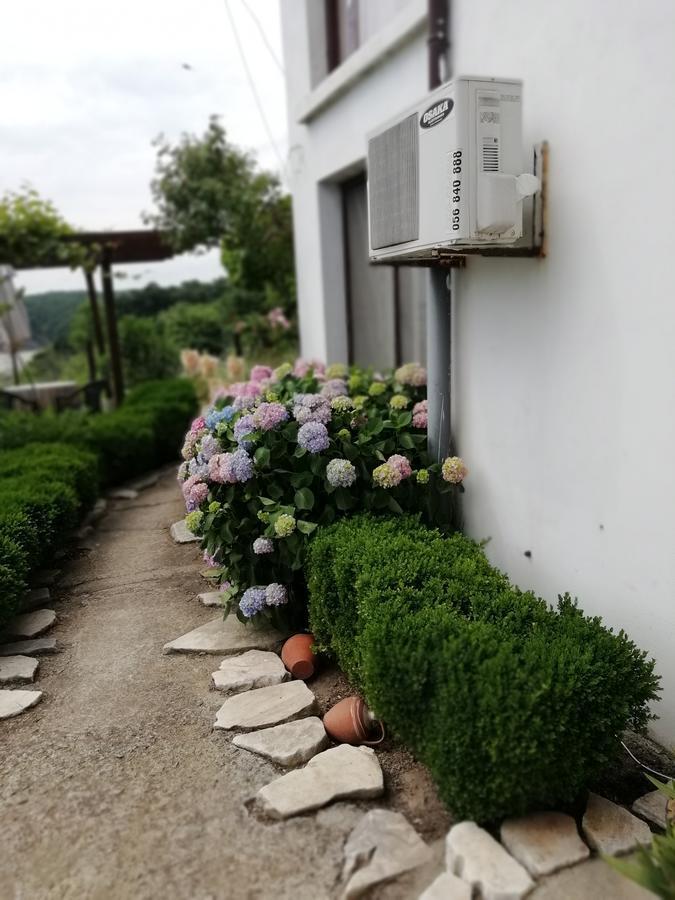South Beach Villa Sinemoreț Exterior foto