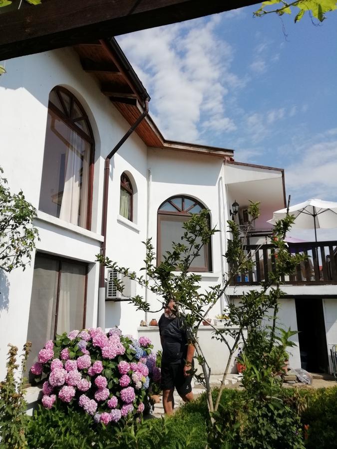 South Beach Villa Sinemoreț Exterior foto