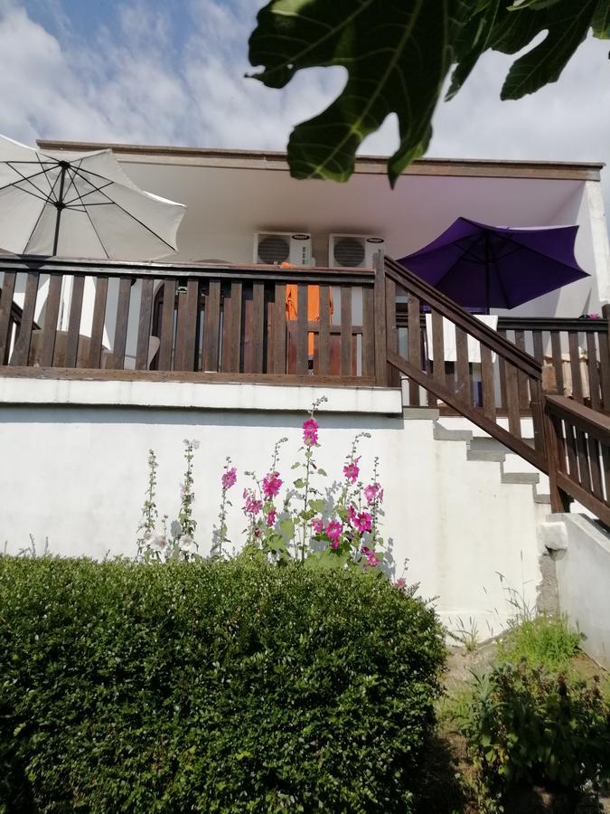 South Beach Villa Sinemoreț Exterior foto